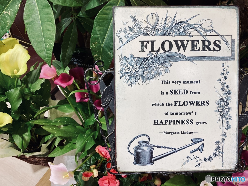 Flower Shop前にて