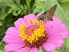 ようこそお参りを…