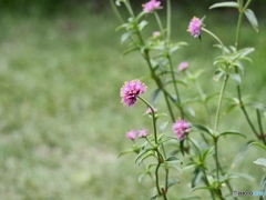 8月10日　A.M 11:00