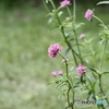 8月10日　A.M 11:00