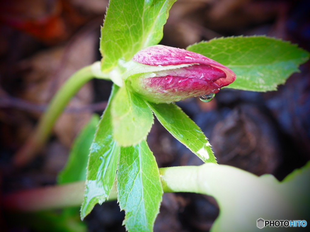 これから…それから