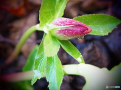 これから…それから