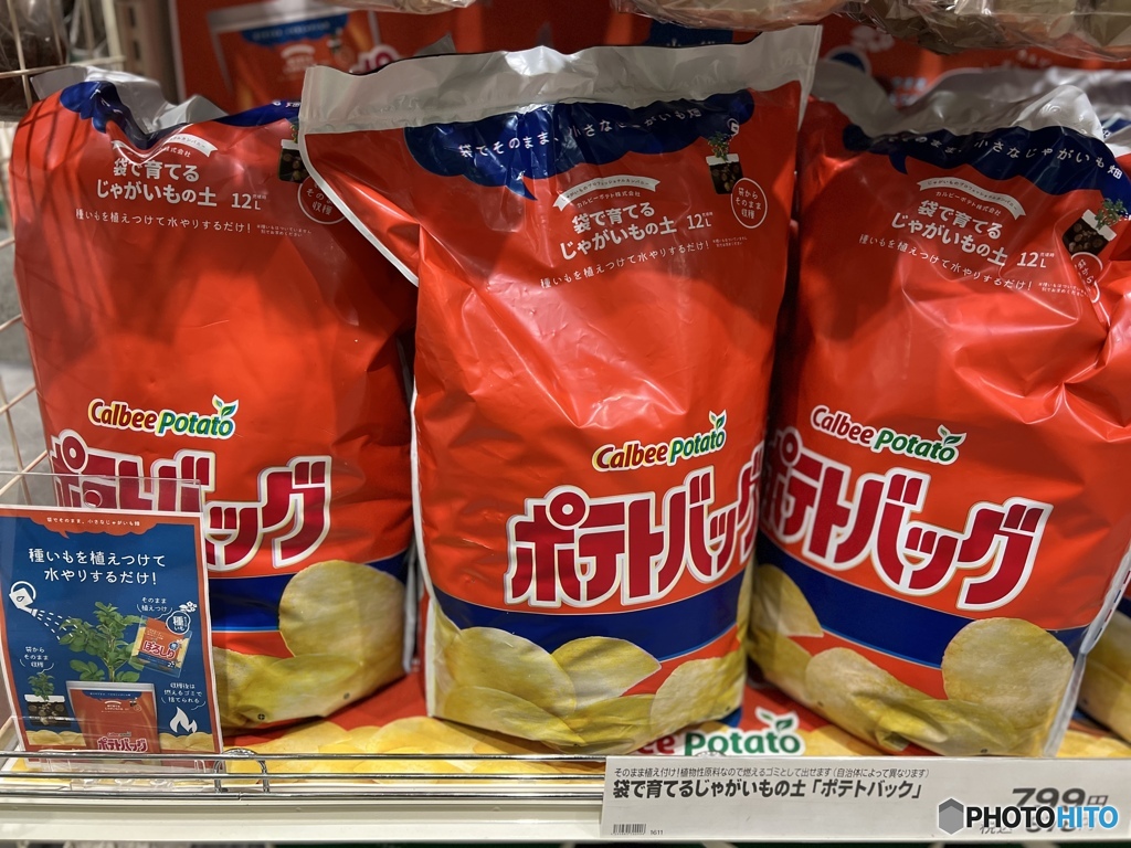 気になる存在