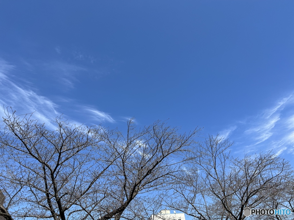 今日の空のいろ
