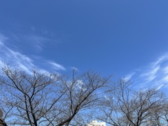 今日の空のいろ