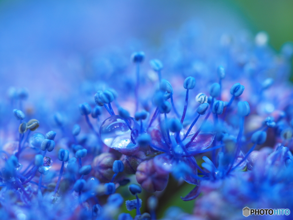 Light-blue tear