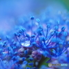 Light-blue tear