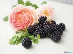薔薇とBlack berry