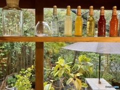 好きなのは雨の日