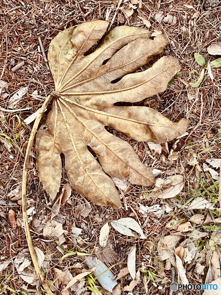 如月・公園にて