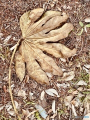 如月・公園にて