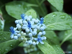 5日が過ぎて… 5日が過ぎて…