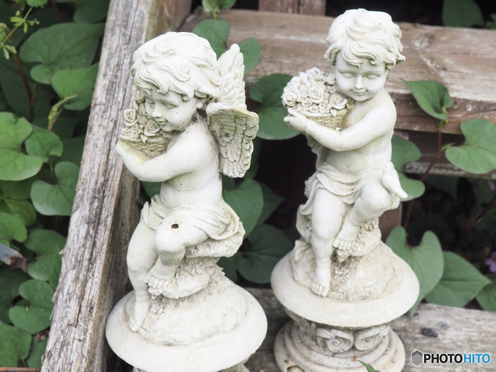 Rose Gardenには天使が居ました