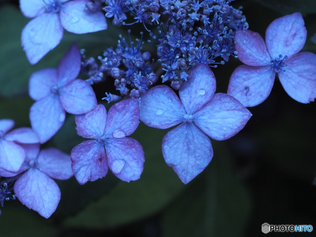 ながれる季節の真ん中で…