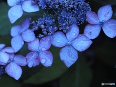 ながれる季節の真ん中で…