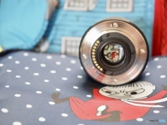 いつも側に居てよね