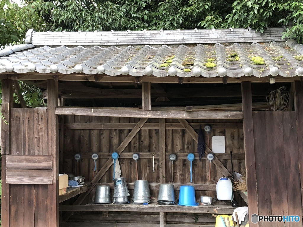 一足早いお墓参り