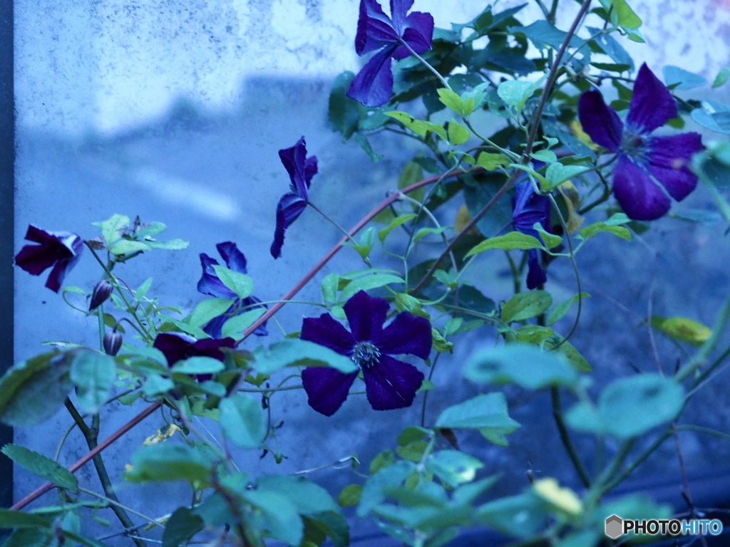 お疲れ様って云いたくて…