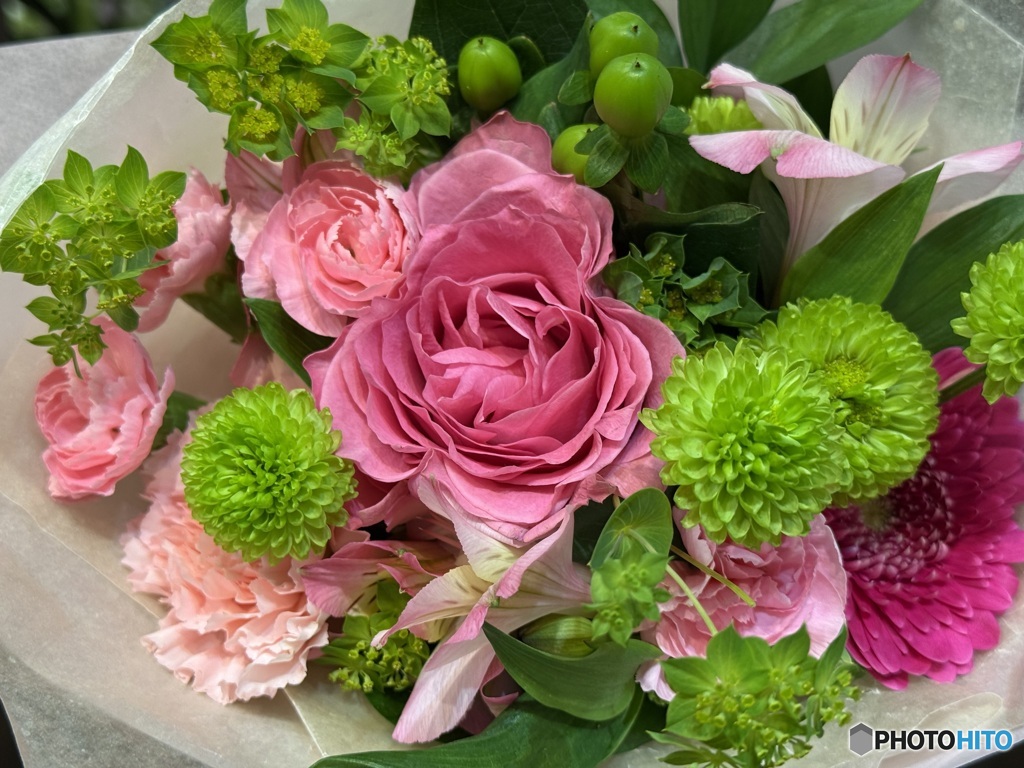 季節を忘れているかのように