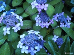 みんな揃ったかな？