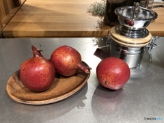 ホンモノじゃないからね