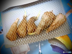 待ちきれないよ…