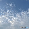 鱗雲