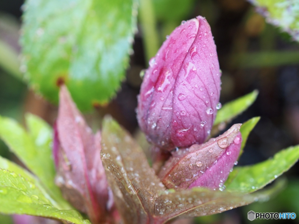 おはよう…愛しいあなた
