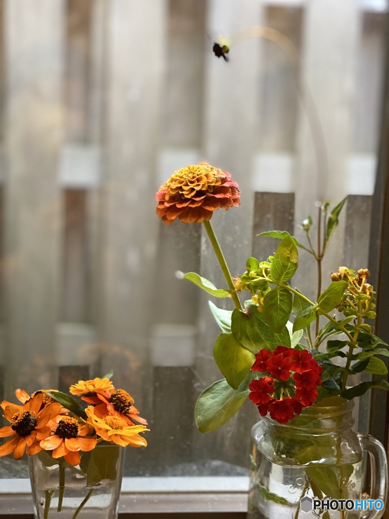 園芸店のとある窓から