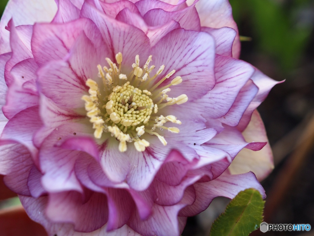 ちょっと失礼。