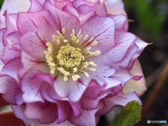 ちょっと失礼。