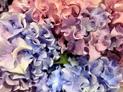 Like a wave Like a wave