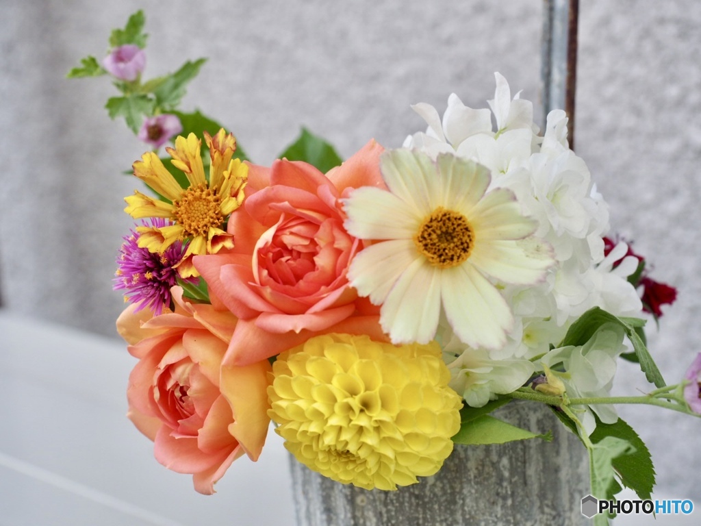 Have a nice day