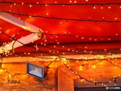 キラキラきらと