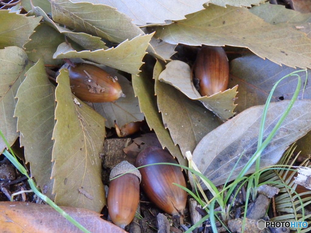 寒いからお布団を被りました