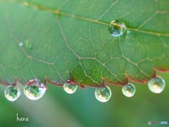 みんな並んで〜その②