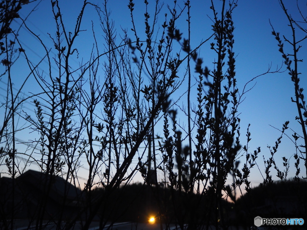 暮れゆく時間に