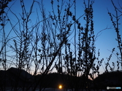 暮れゆく時間に