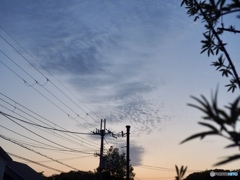 夕暮れに想う