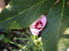 ちょっとお邪魔いたします