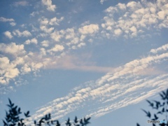 A.M 05:16