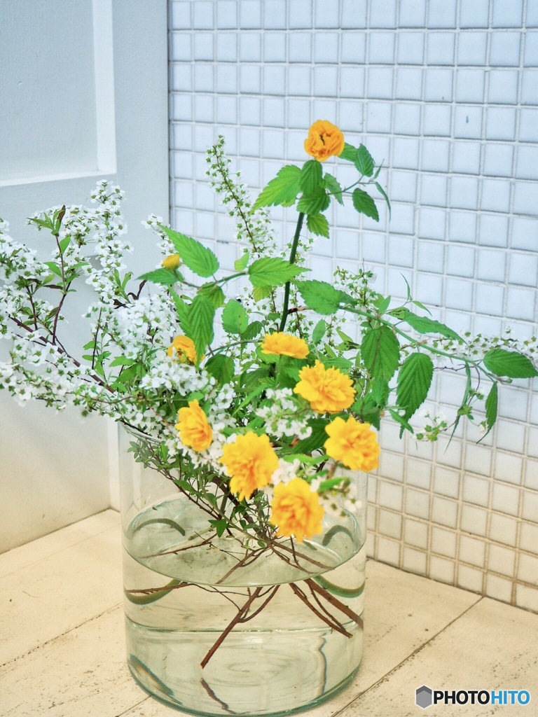 雪柳と山吹と