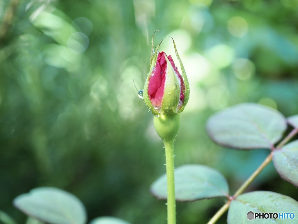 はじめまして…って云いに来ました