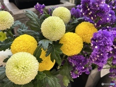 まるまるポンポン