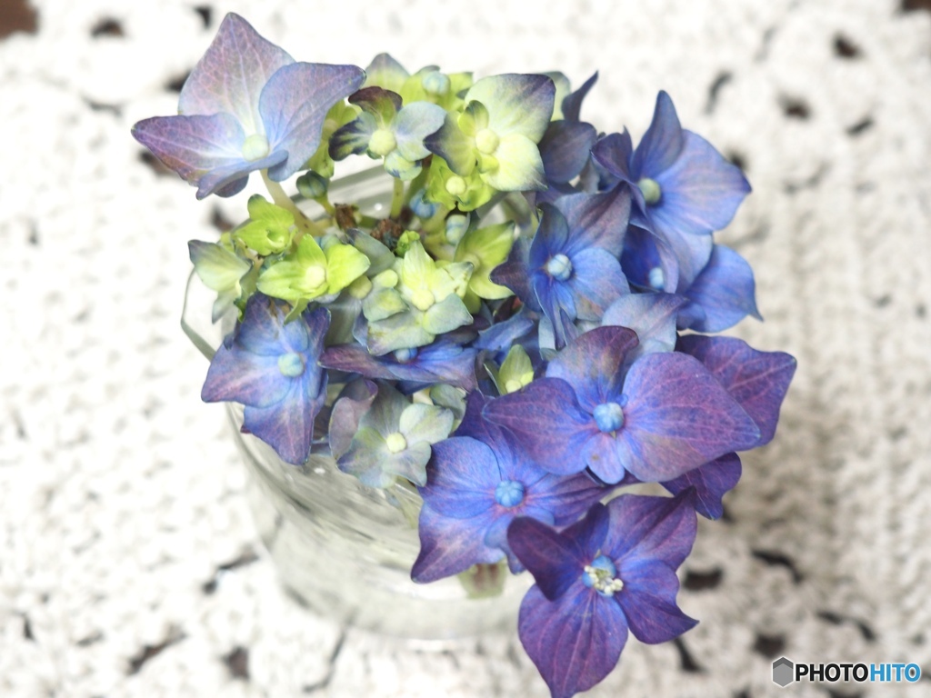 ちいさく愛でる