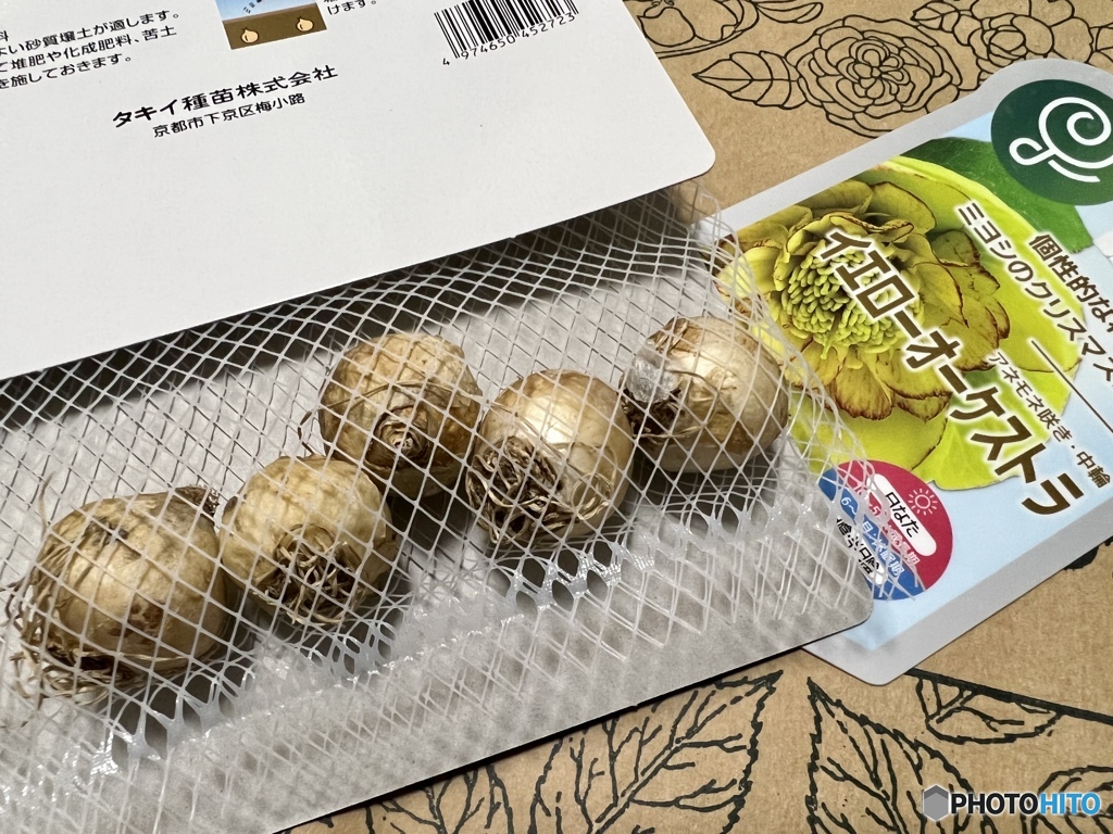 明日植え付けよう…