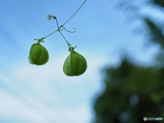 空も飛べるはず