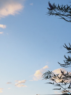 ９月23日