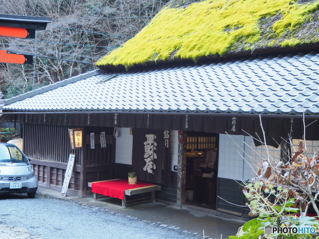 二月の嵯峨野