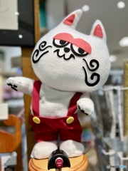 dancing  cat